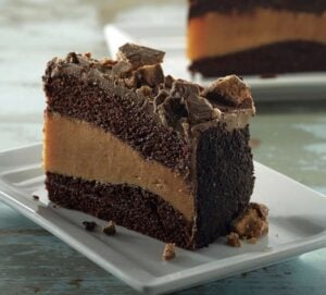 Chocolate Peanut Butter Cake